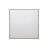 Ecoplast Переключатель 1-клавишный, перекрестный (схема 7) 16 A, 250 B 860604-1